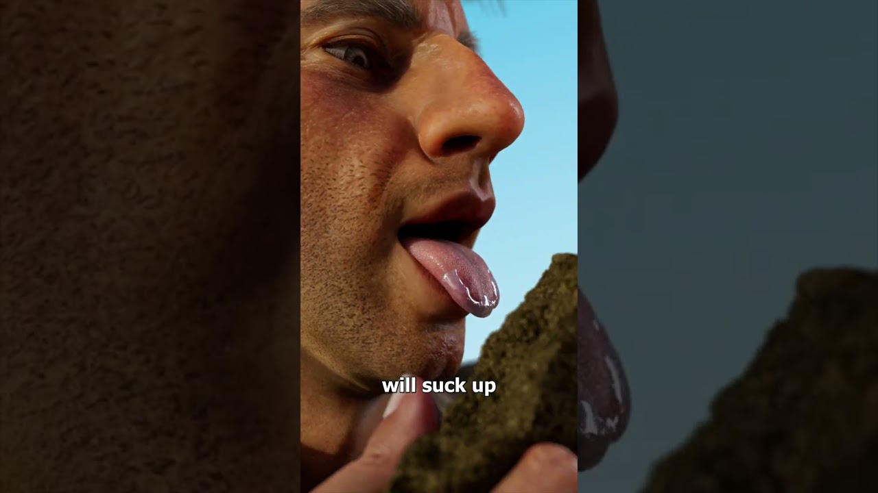 古生物学家为什么舔化石？-咕咕的工具箱