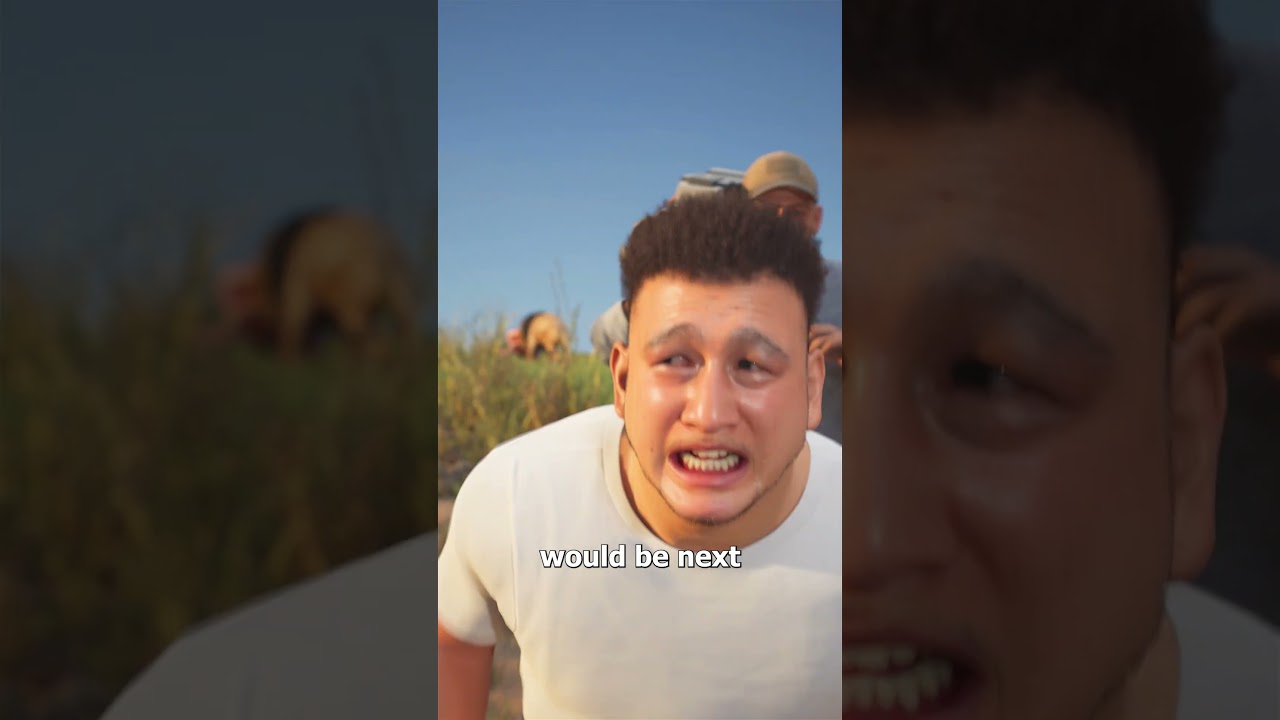 袭击朱迪·福斯特的狮子-咕咕的工具箱