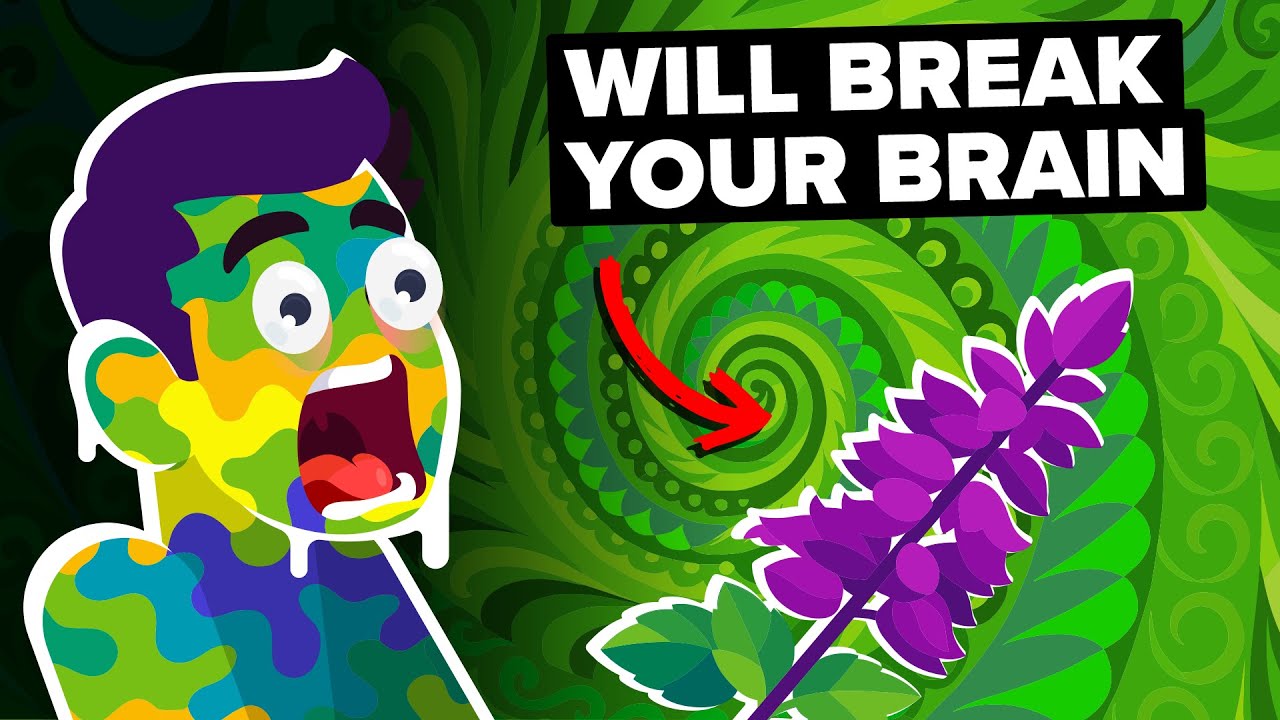 让你在5分钟内活出一生的药物-咕咕的工具箱