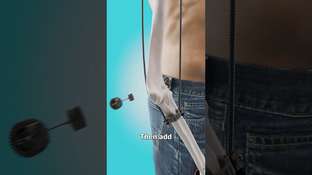 如果你的肌肉换成齿轮会怎么样-咕咕的工具箱