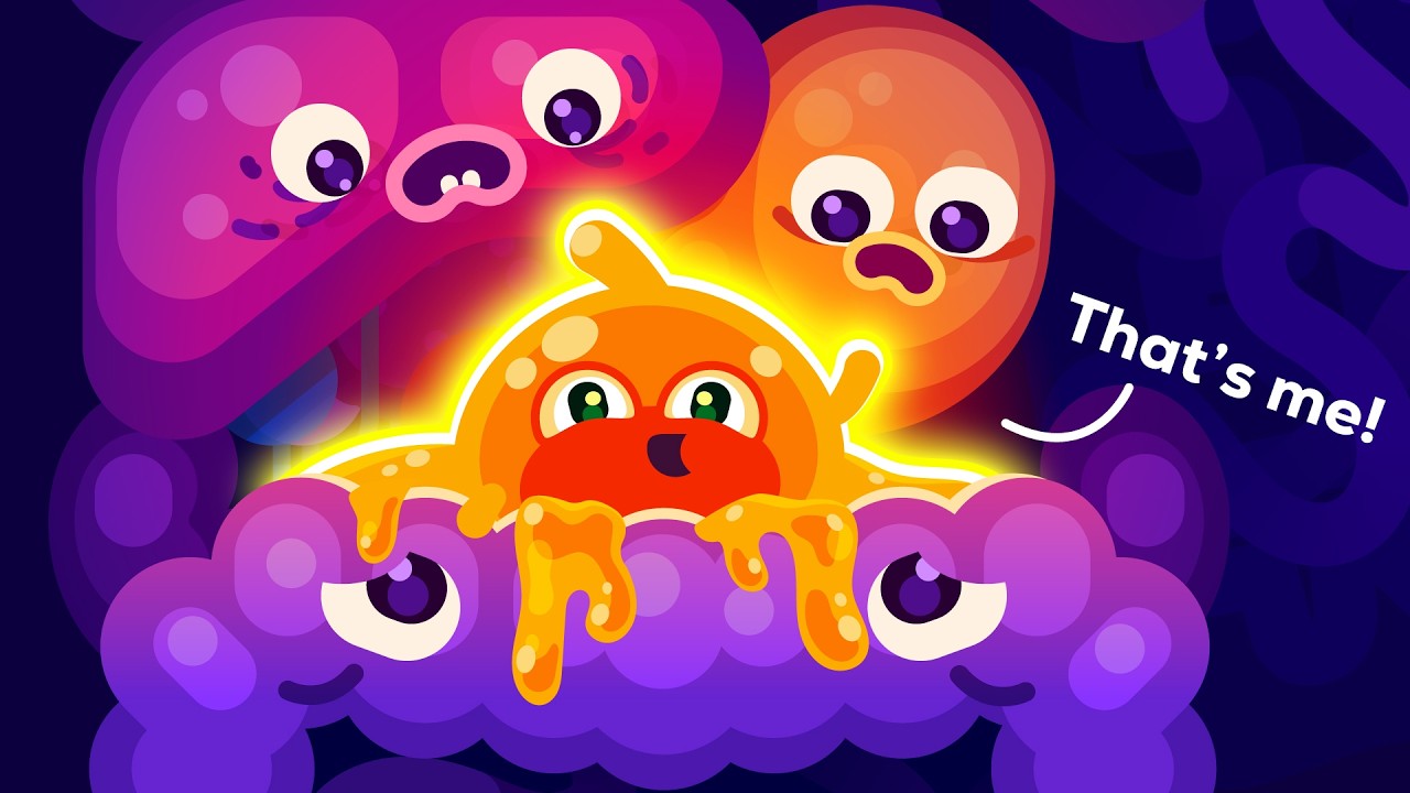 我们来聊聊脂肪吧。-咕咕的工具箱