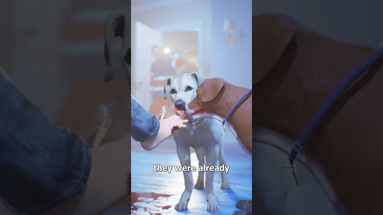 试图出售人脚趾的女子-咕咕的工具箱