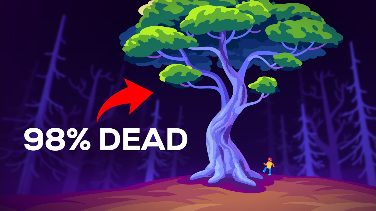 树木真奇怪-咕咕的工具箱