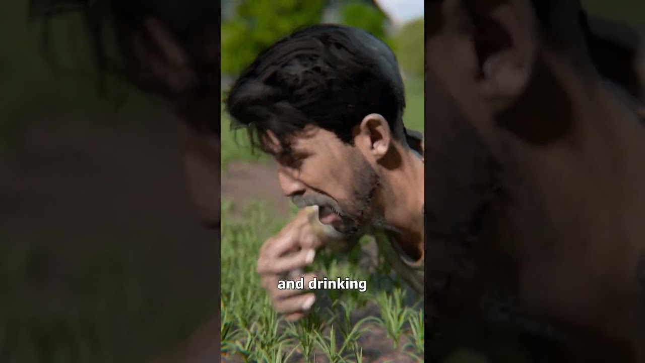 差点要了他的命的野猪陷阱-咕咕的工具箱