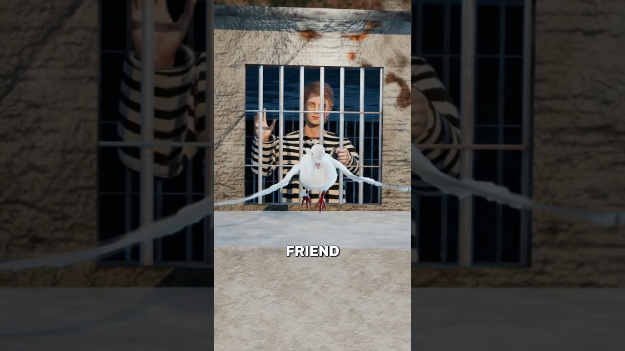 他在牢房里养了一只鸽子-咕咕的工具箱