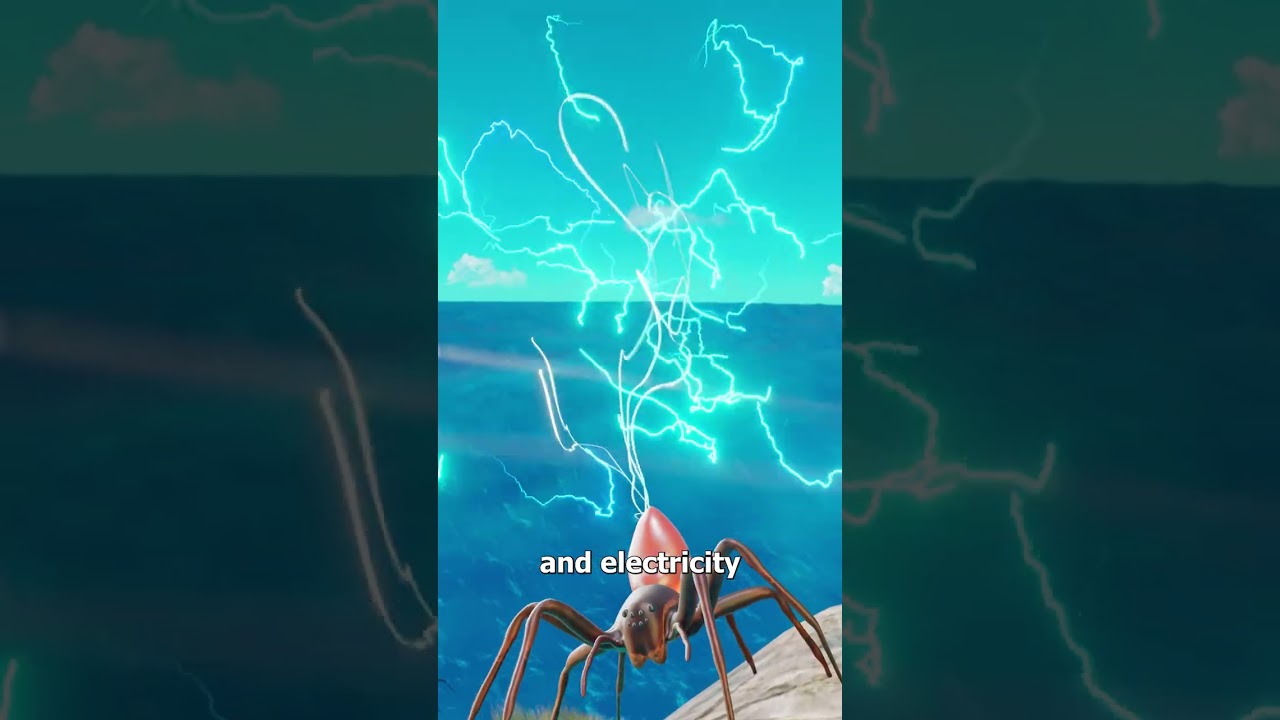 蜘蛛可以飞越海洋-咕咕的工具箱