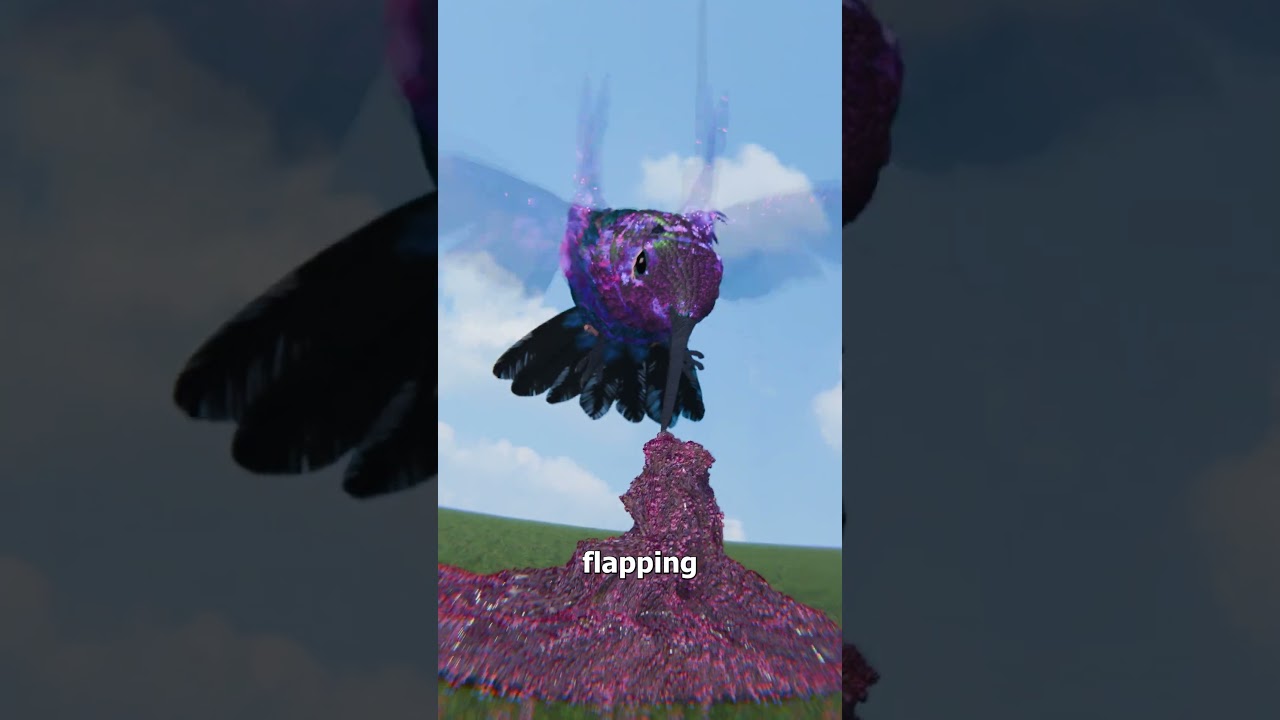 如果蜂鸟有喷气式飞机那么大会怎样-咕咕的工具箱