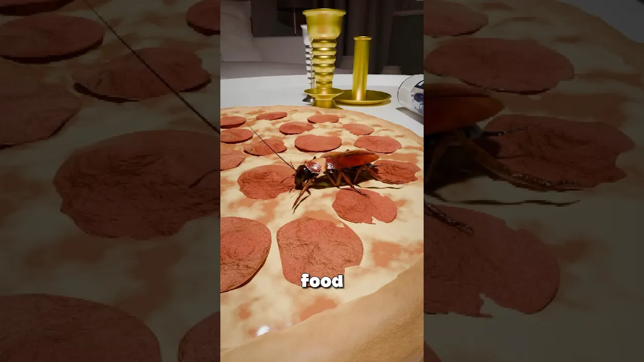 蟑螂究竟是如何吃掉你的食物的？-咕咕的工具箱