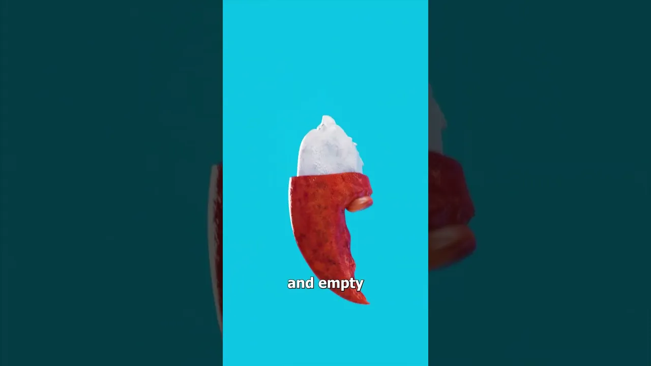 如何吃到龙虾肉的每一丝一毫-咕咕的工具箱