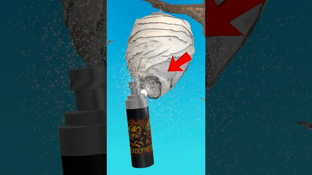 黄蜂喷雾方法的真相-咕咕的工具箱