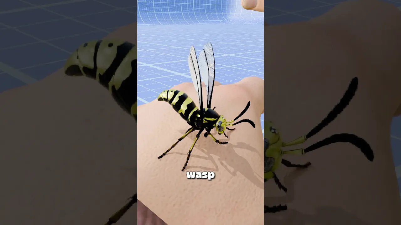 为什么黄蜂真的可以多次蜇人-咕咕的工具箱