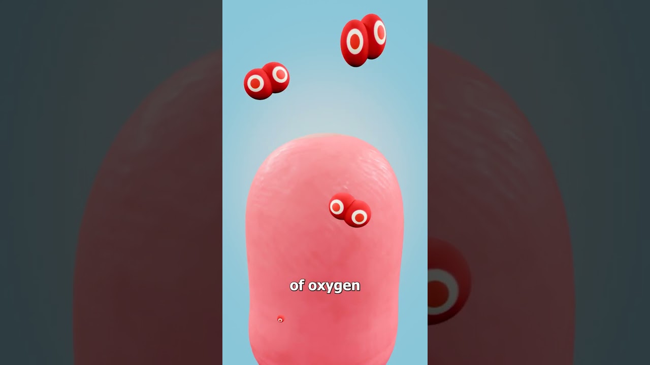 扎带能切断你的手指吗？-咕咕的工具箱