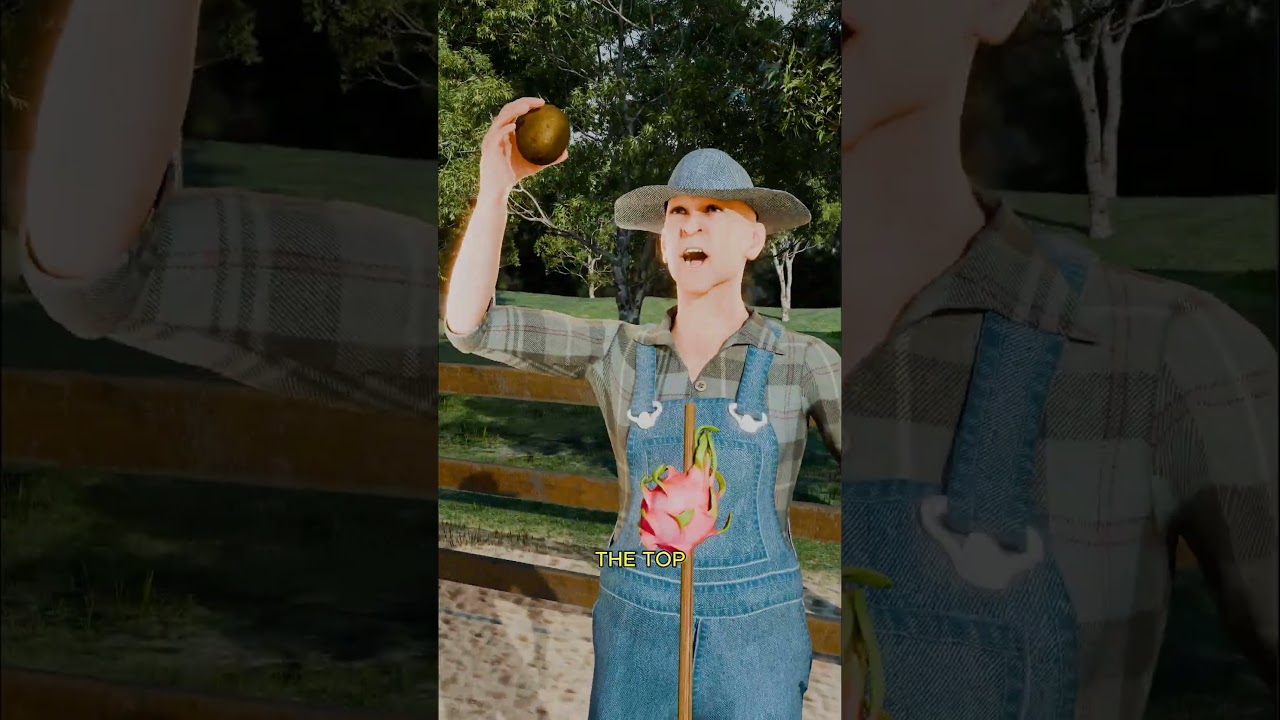 农民不在农场时如何喂鸡-咕咕的工具箱