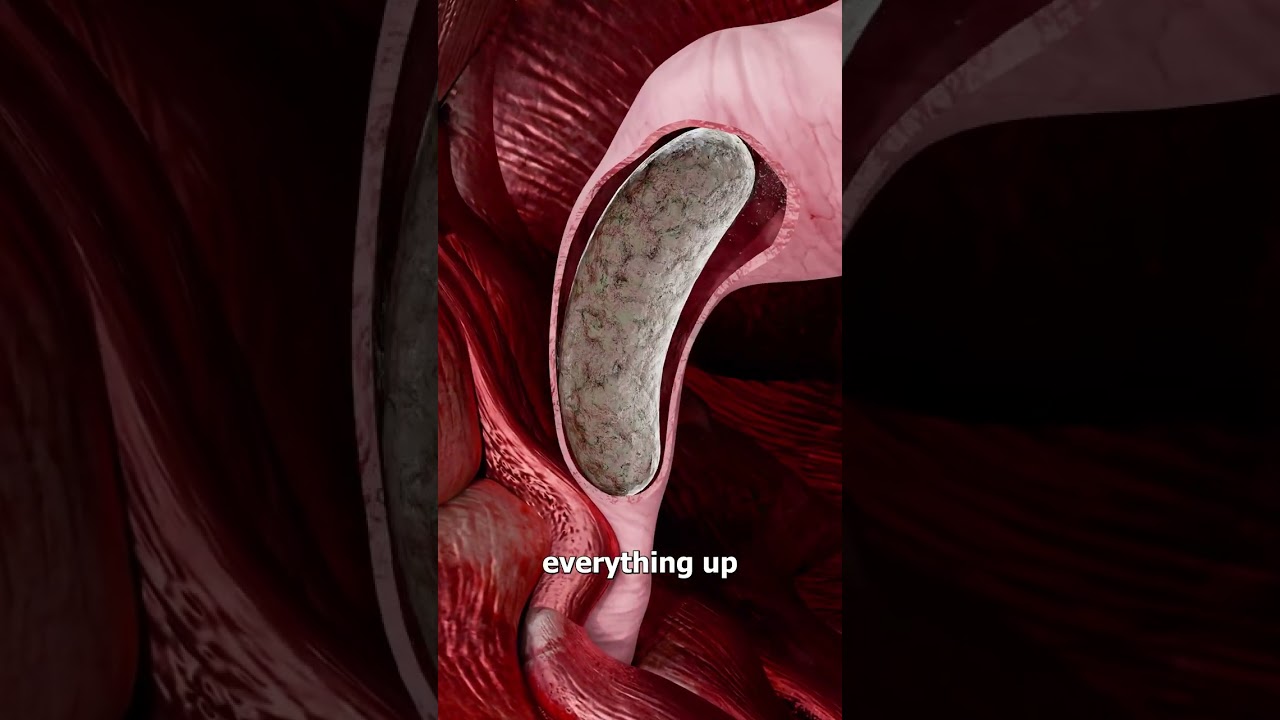 蹲便器为什么更适合排便-咕咕的工具箱