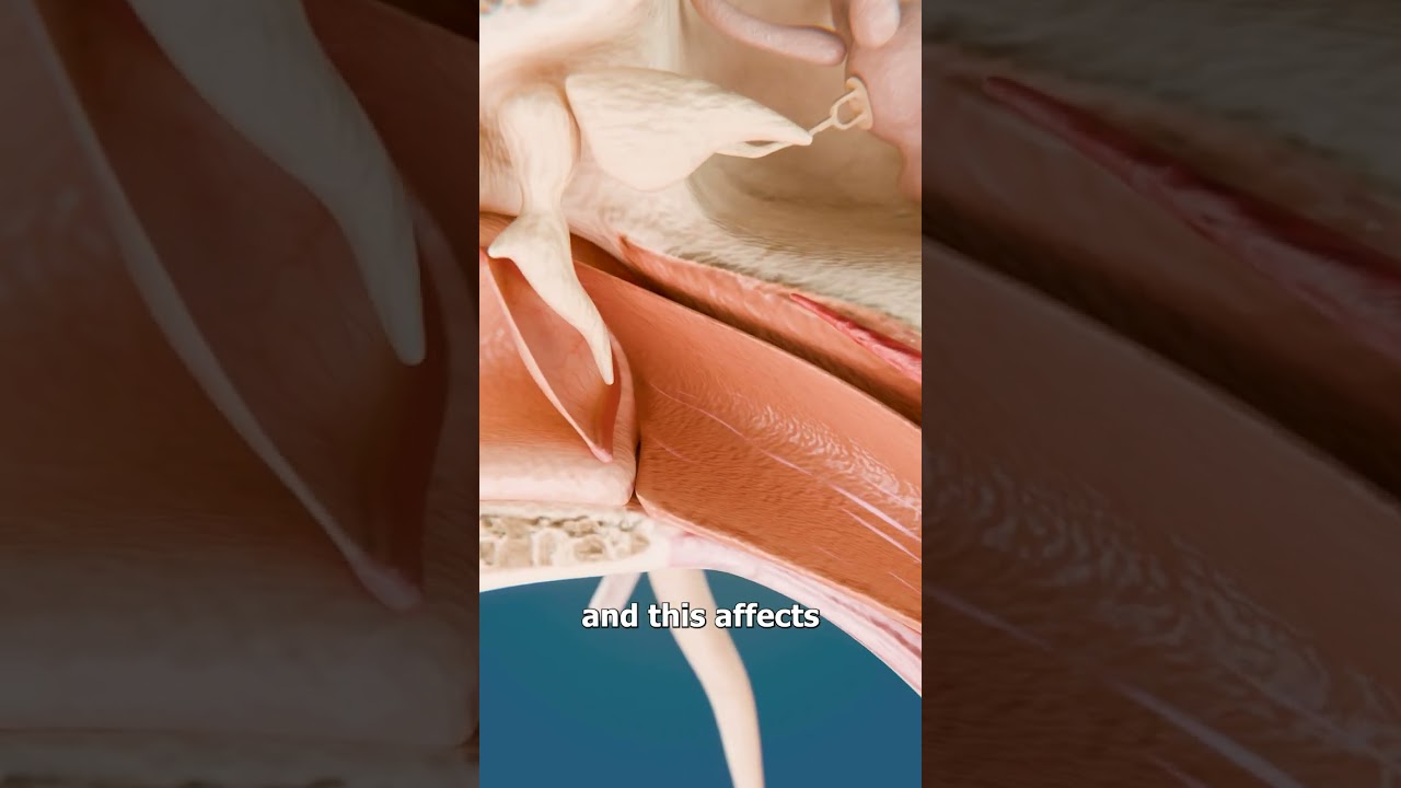 为什么坐飞机耳朵会发出“砰”的一声-咕咕的工具箱