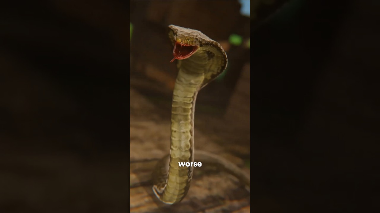 复仇适得其反-咕咕的工具箱