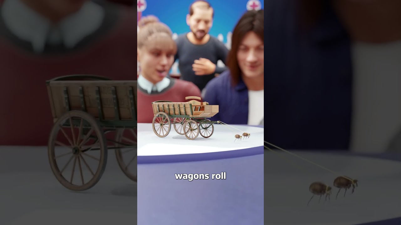 跳蚤马戏团是如何运作的-咕咕的工具箱