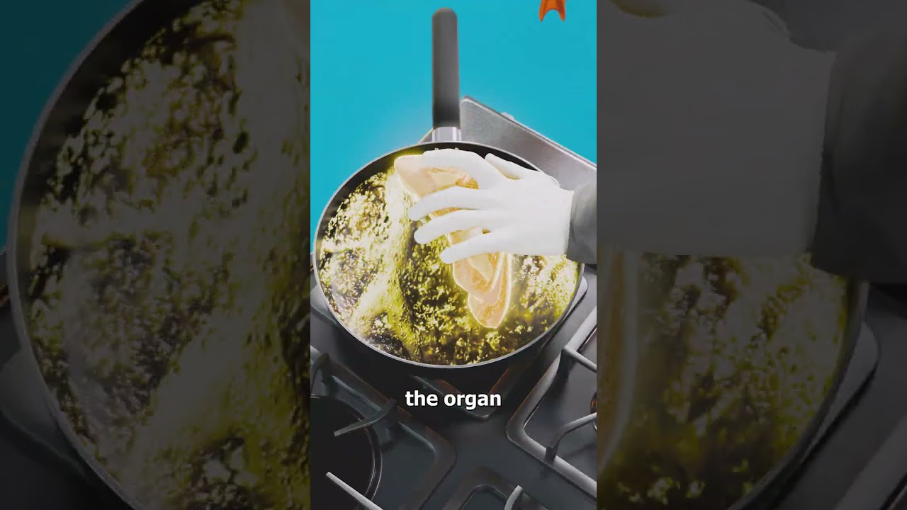 鹅肝是如何制作的-咕咕的工具箱