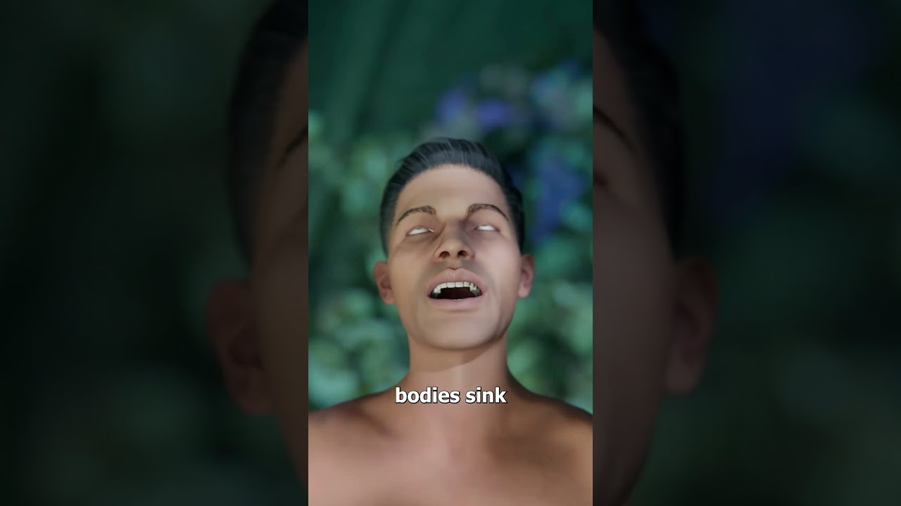 萨利什海脚的秘密-咕咕的工具箱