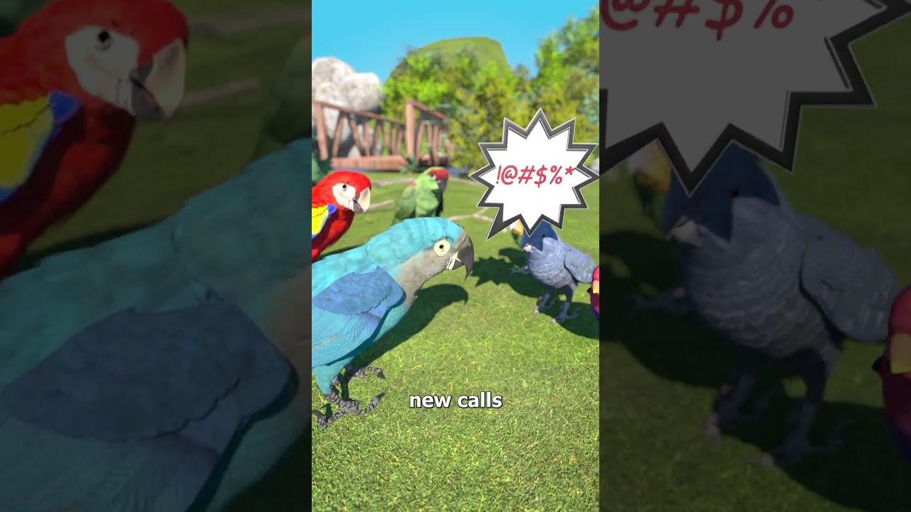 野生鸟类是如何学会说脏话的-咕咕的工具箱