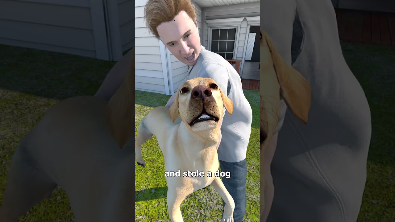 他从一场火灾中救出了一只狗-咕咕的工具箱