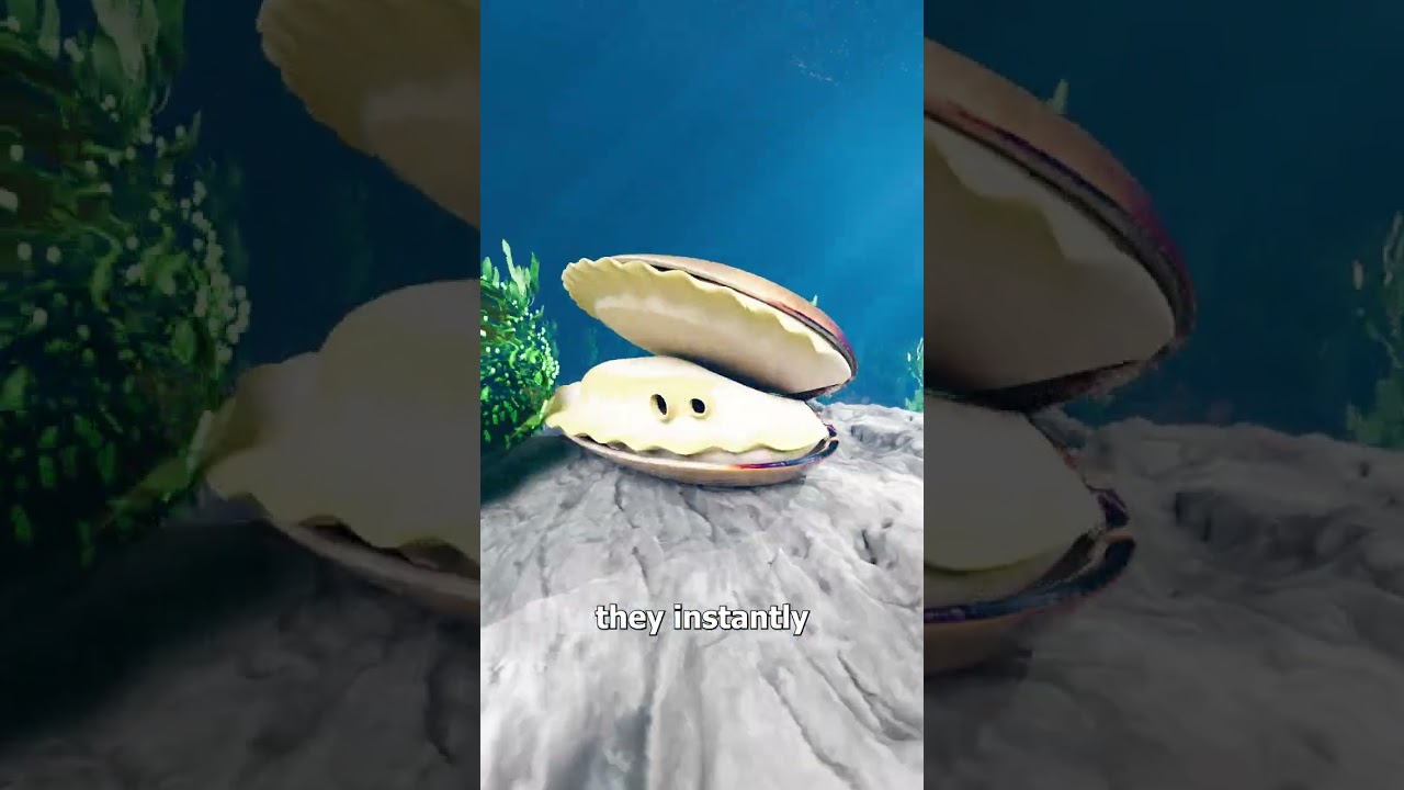 蛤蜊如何提醒我们水质脏污-咕咕的工具箱