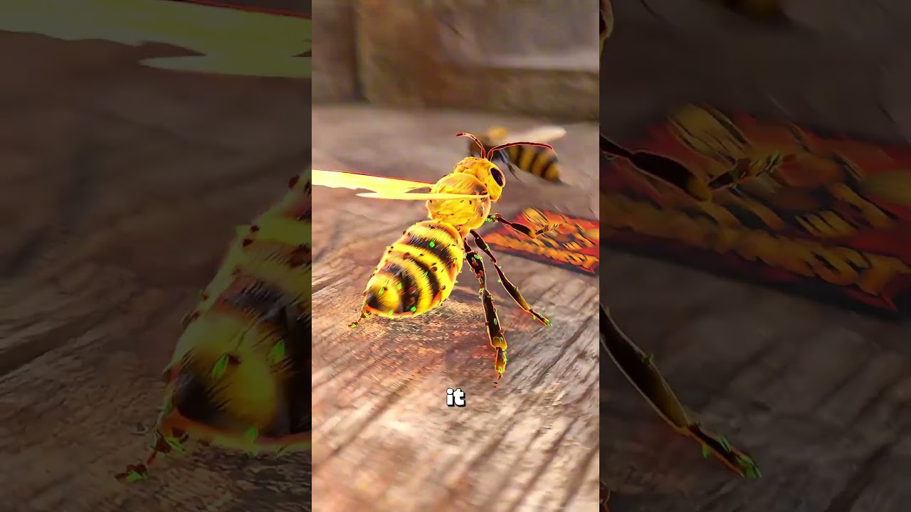 蜜蜂为什么会自残-咕咕的工具箱