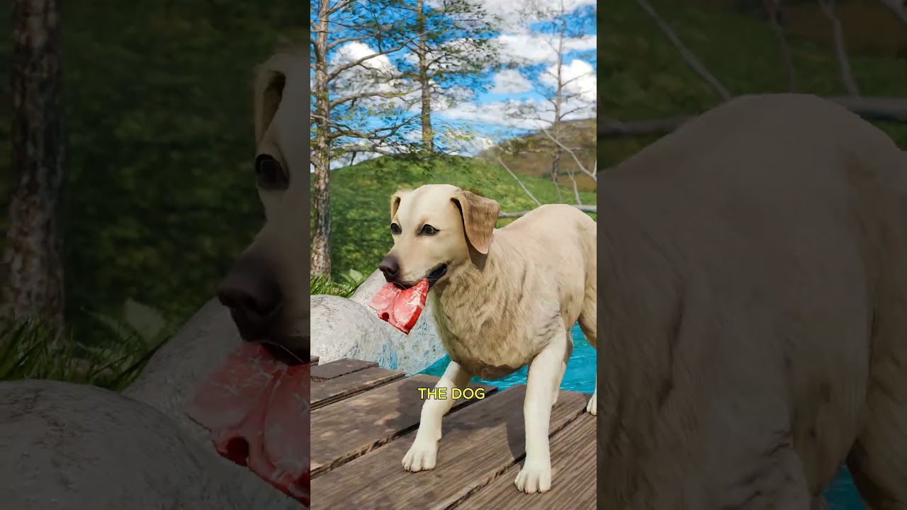 贪吃的狗狗-咕咕的工具箱