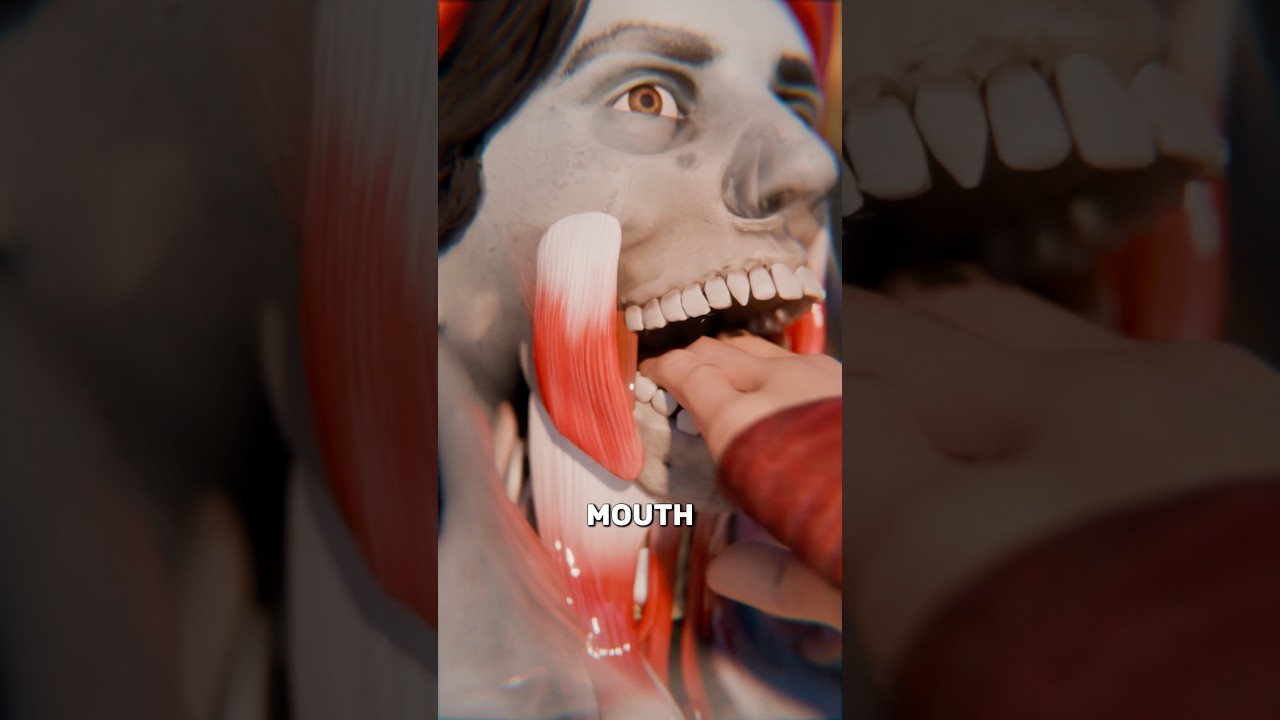 他们为什么要撕掉敌人的下巴？-咕咕的工具箱