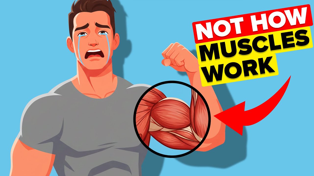 你可能仍然相信的一些完全错误的常识-咕咕的工具箱