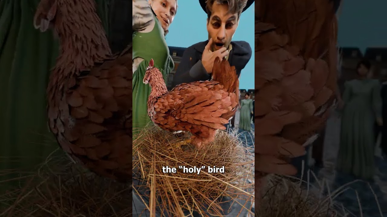 她声称她的鸡下了神圣的信息-咕咕的工具箱