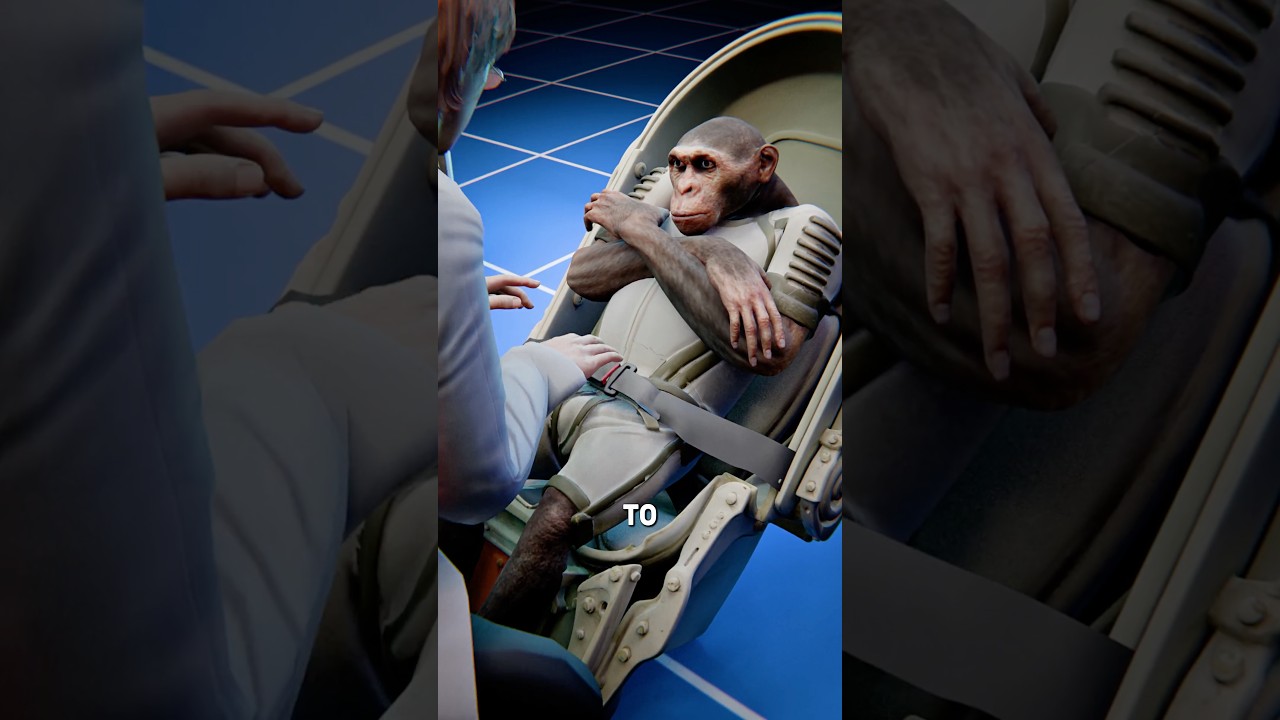 弹射座椅测试-咕咕的工具箱