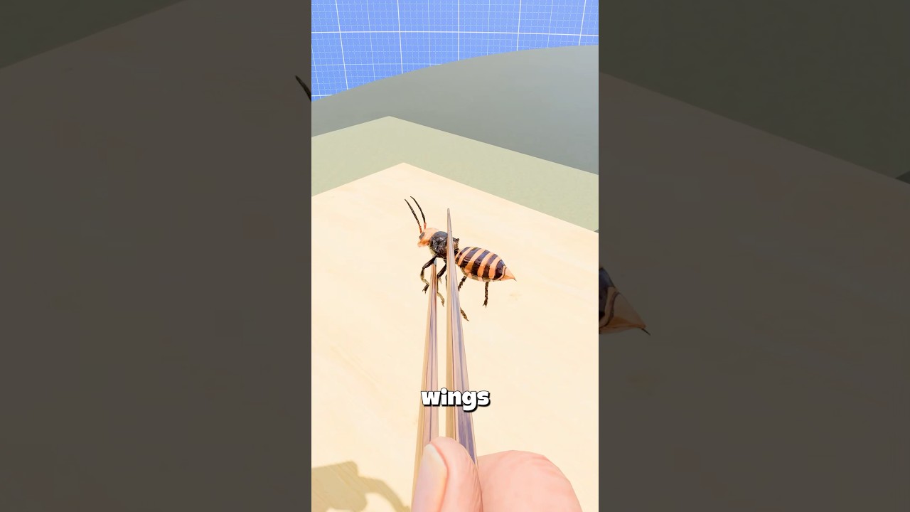 如何制作完美的巨型黄蜂陷阱-咕咕的工具箱