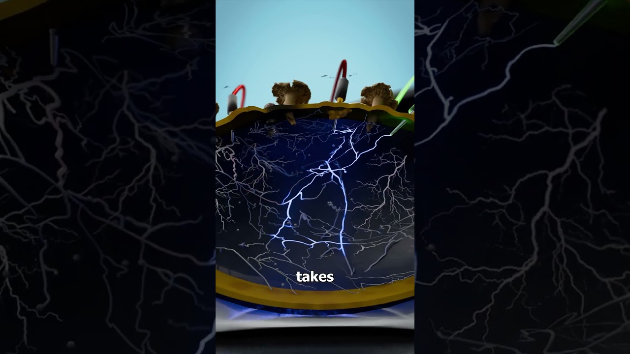 像电脑芯片一样工作的蘑菇-咕咕的工具箱