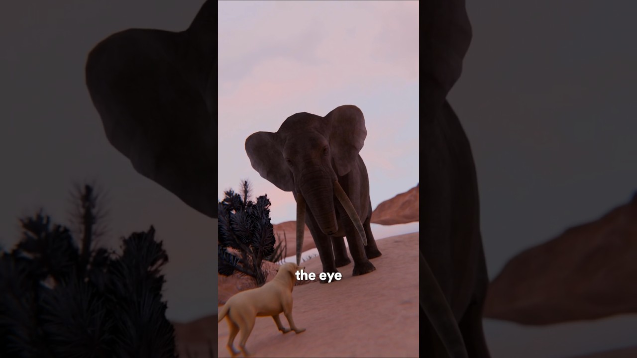 停止比较旅程-咕咕的工具箱