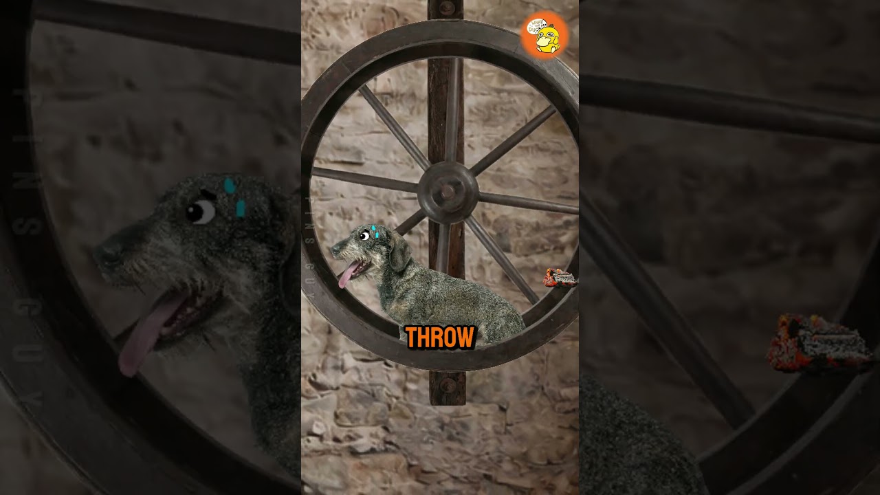 最悲伤的灭绝故事-咕咕的工具箱