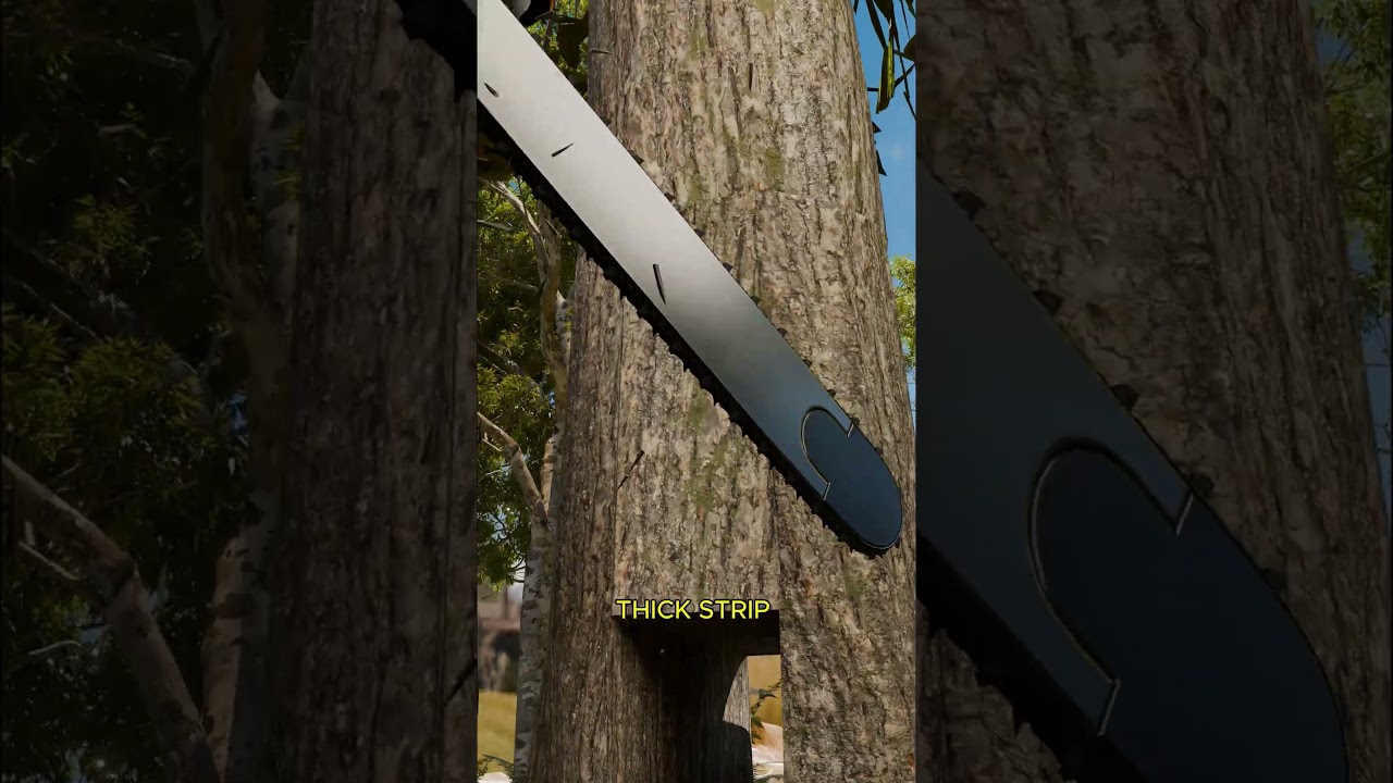 如何防止树木倒塌砸到房子-咕咕的工具箱