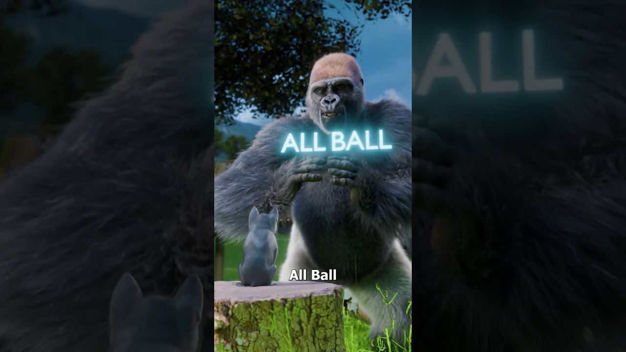 大猩猩为小猫哭泣-咕咕的工具箱