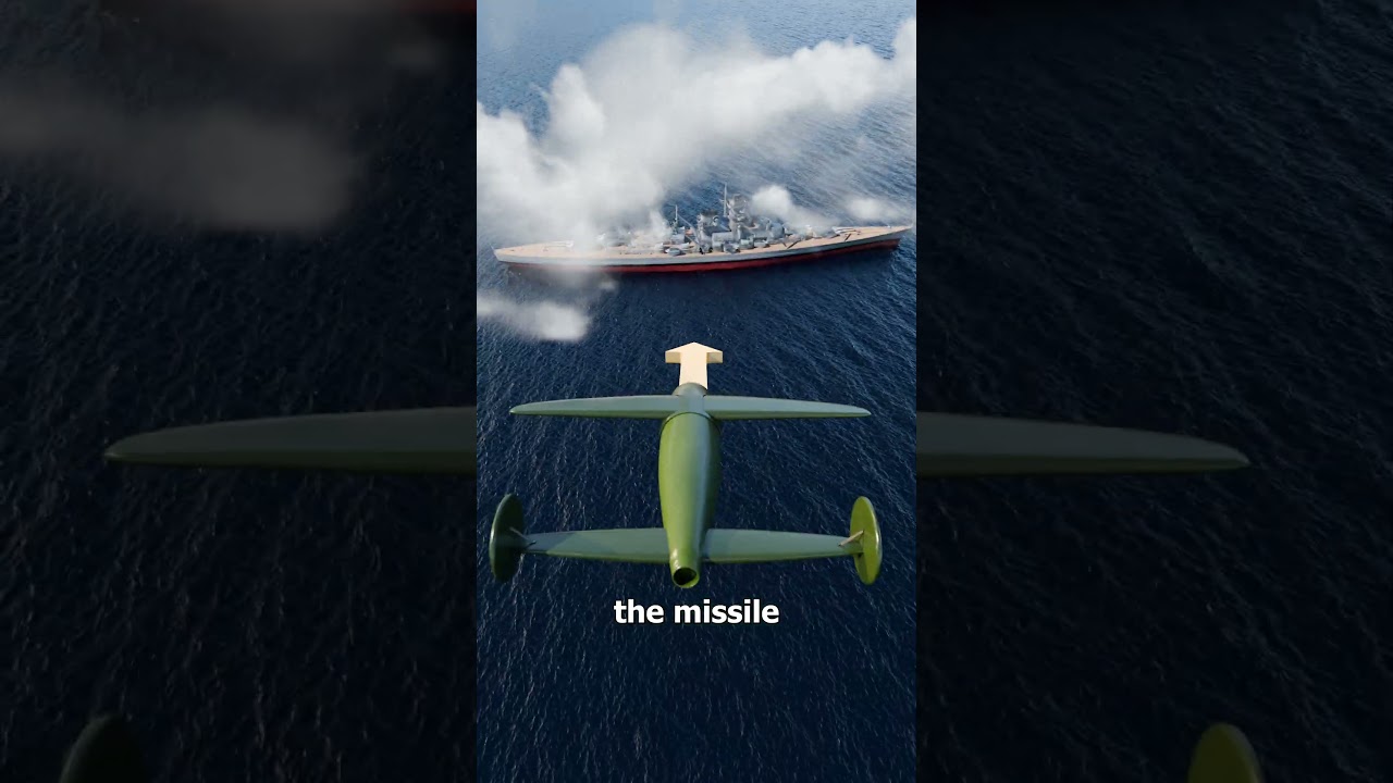 鸽子差点被用于战争-咕咕的工具箱