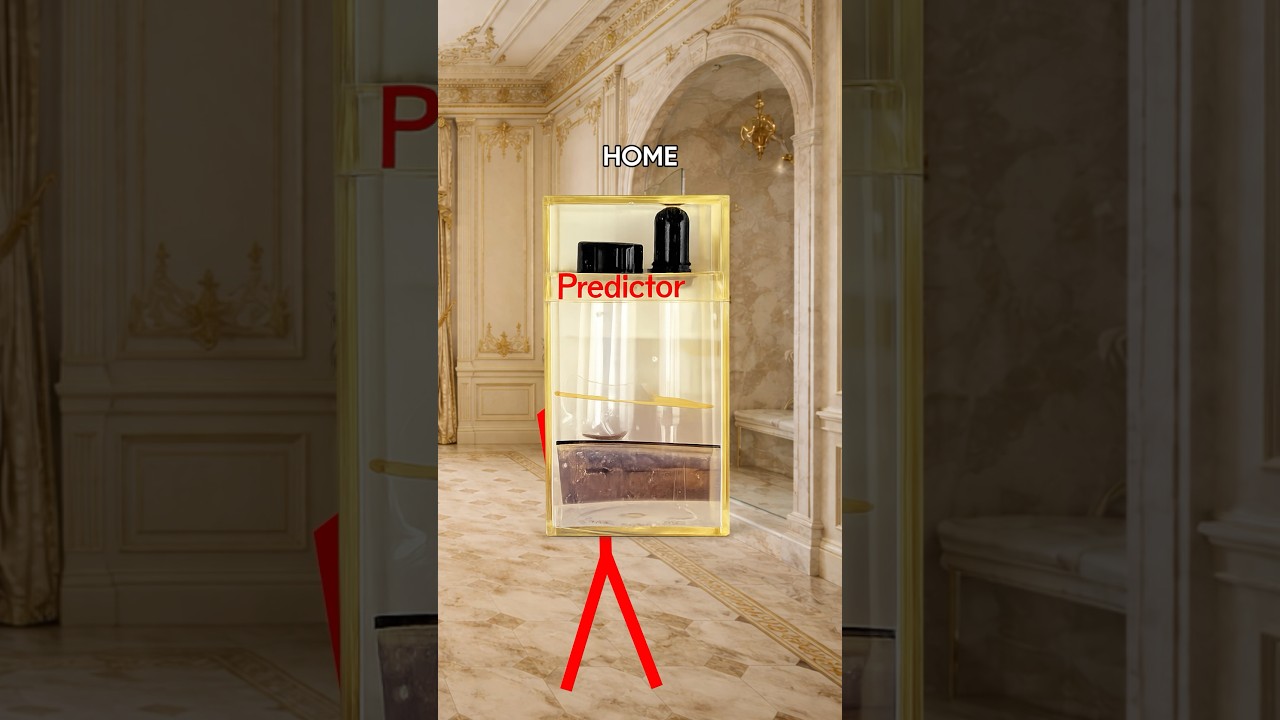 验孕棒的发明！！-咕咕的工具箱