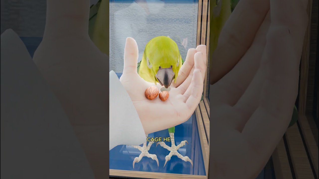 鹦鹉解决不等式的方法比大多数人都好-咕咕的工具箱