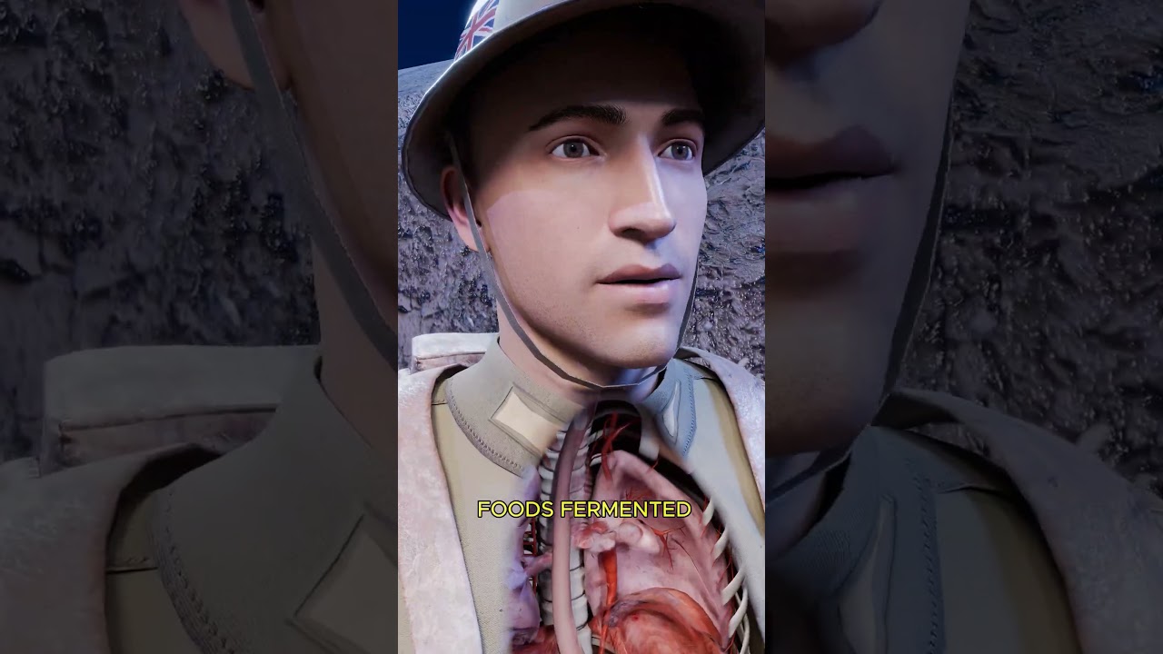 二战战壕里出现了一个大问题