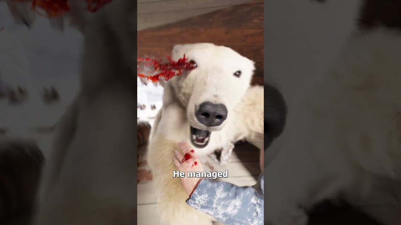 他为了活下去养了一头北极熊-咕咕的工具箱