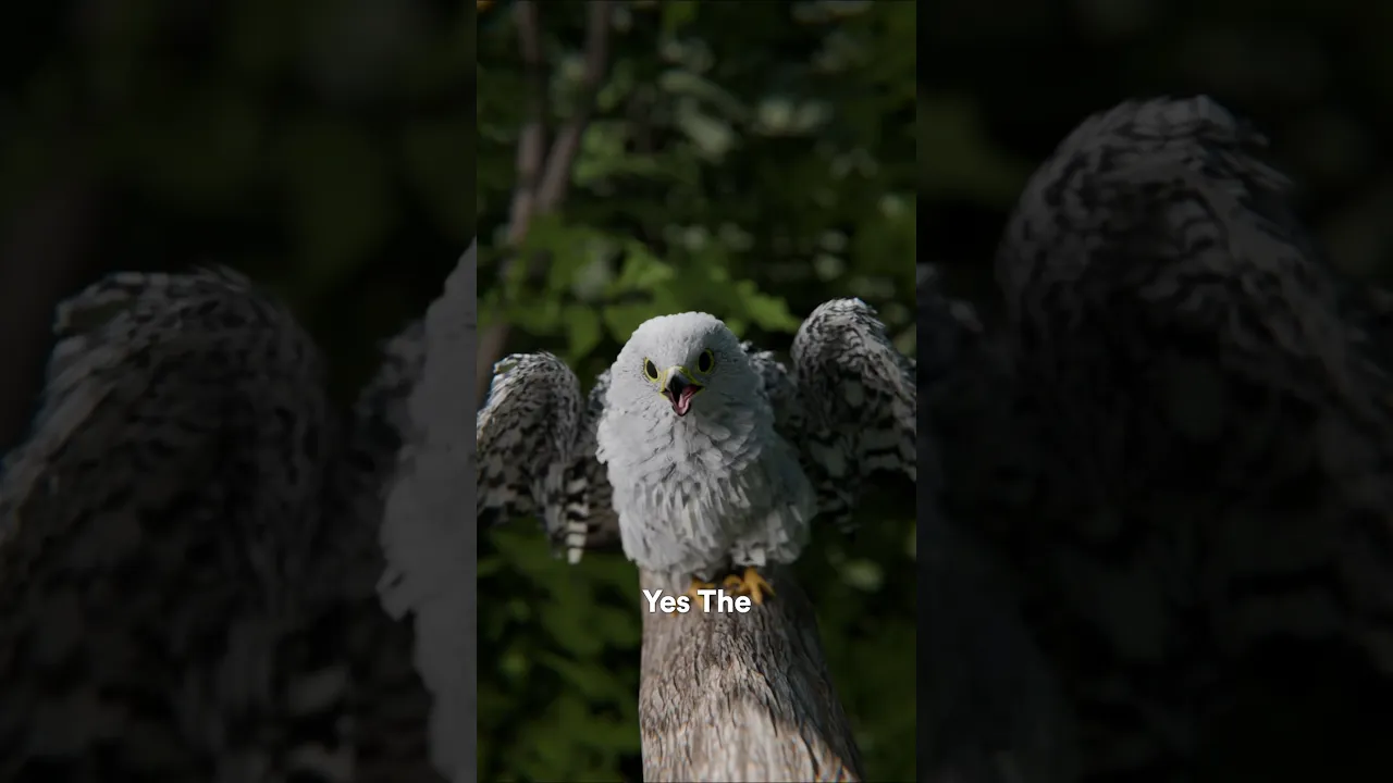 别被这番说辞蒙蔽了-咕咕的工具箱