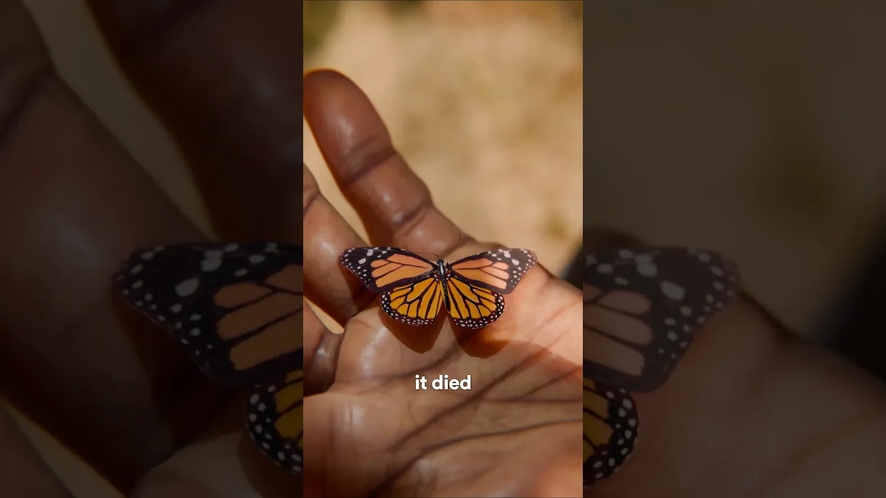 不要打断这个过程-咕咕的工具箱