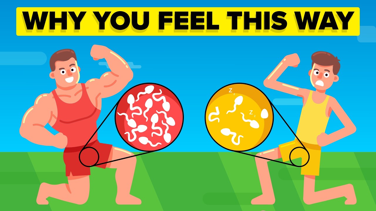 低睾酮水平对身体的影响