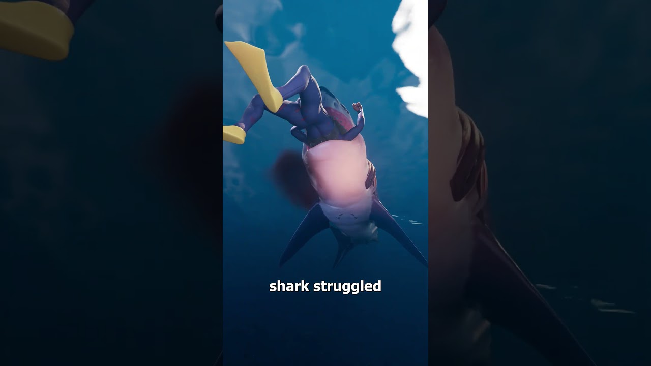 他差点被鲨鱼吞了-咕咕的工具箱