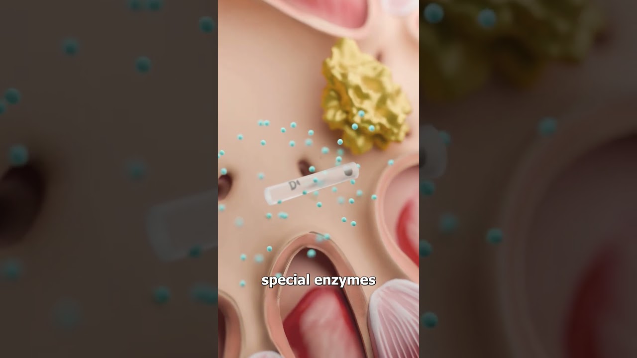 能溶解肾结石的微型机器人-咕咕的工具箱