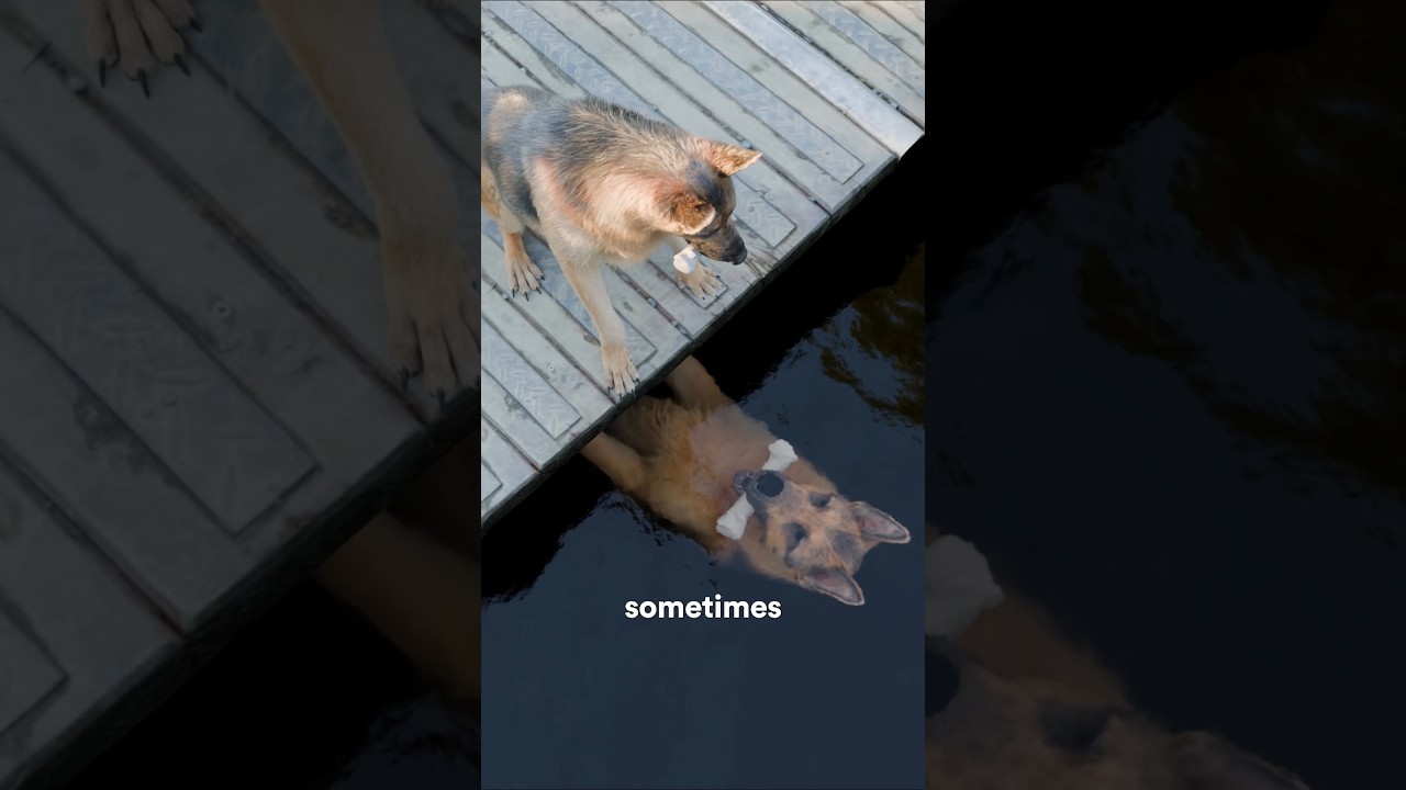 想要更多要付出的代价-咕咕的工具箱