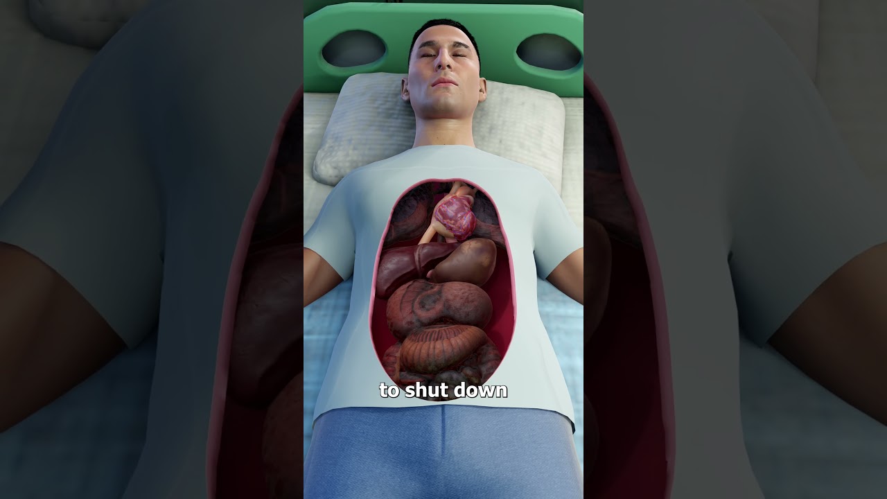 护士给病人注射漂白剂-咕咕的工具箱